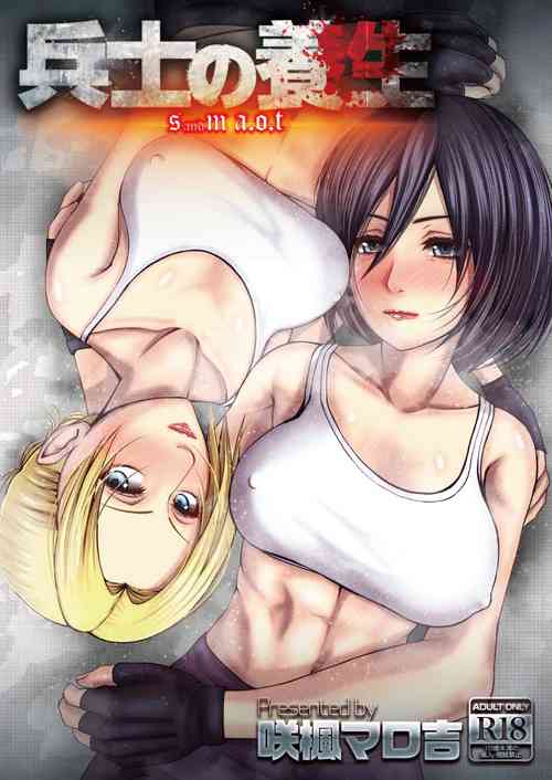 Download 兵士の養生