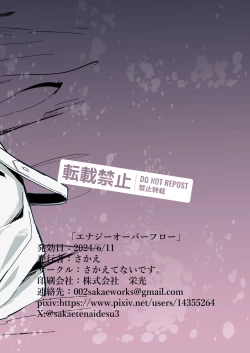 Page 22 of Energy Overflow