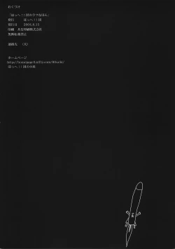 Page 17 of Hohhe!! Dan no Rough na Hon vol. 2.5