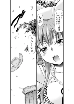 Page 11 of CODE EROSS R2 San