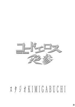 Page 17 of CODE EROSS R2 San