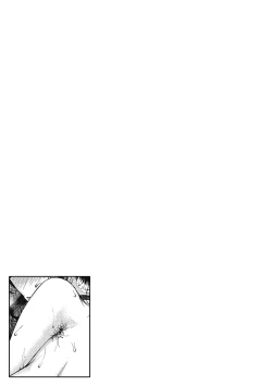 Page 182 of Saitan no Yakusoku | Moist Love Ch.1-7