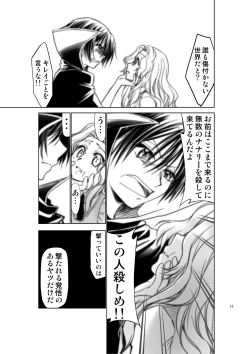 Page 12 of CODE EROSS R2 San