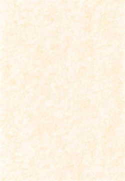 Page 3 of Yogoremono