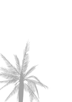 Page 322 of NTR THE MIDNIGHT POOL Soushuuhen DX