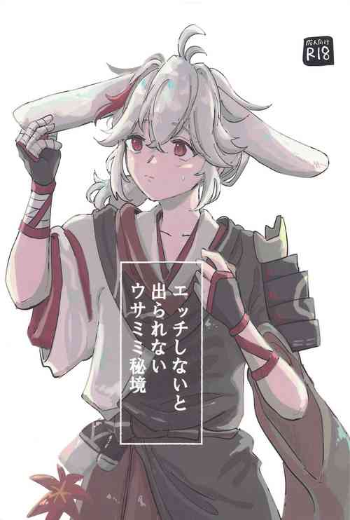 Download etchishinaitoderarenaiusamimihikyo