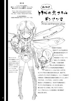 Page 31 of Remilia kara no Chousenjou