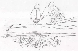 Page 63 of Twitpics - uma_no_suke