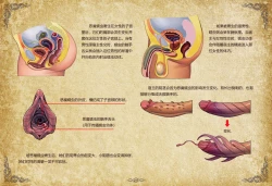 Page 26 of D vs N Ch. 7