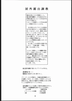 Page 19 of Sae Superdry II