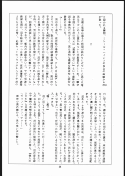 Page 29 of Sae Superdry II