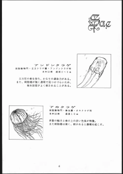 Page 7 of Sae Superdry II