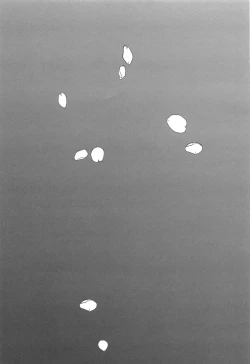 Page 44 of sakuranoshitanihatehanai jo