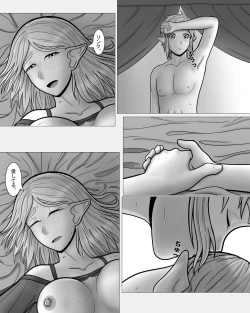 Page 47 of Zeruda no Densetsu: Purinsesu to Sugosu Yoru