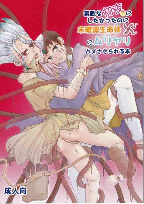 Download Tekina shoya ni shitakattanoni mikakunin seimei-tai X ni muriyarihame sa se rareru hon