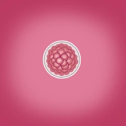 Page 3 of Yumi's Study Abroad/由美的留学生活（汉化）（连载中）