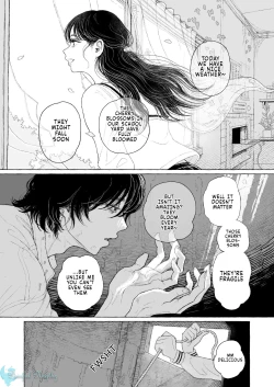 Page 13 of On a Nice Spring Day