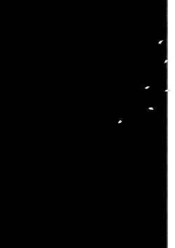 Page 68 of On a Nice Spring Day