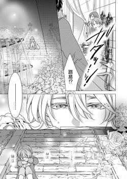 Page 18 of yandere Ōji no shūnen ai | 病娇王子的执念爱