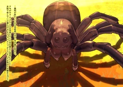 Page 149 of The work of the Insect Detective