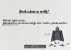 Page 2 of The work of the Insect Detective