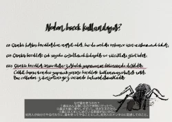 Page 3 of The work of the Insect Detective