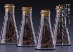 Page 84 of The work of the Insect Detective