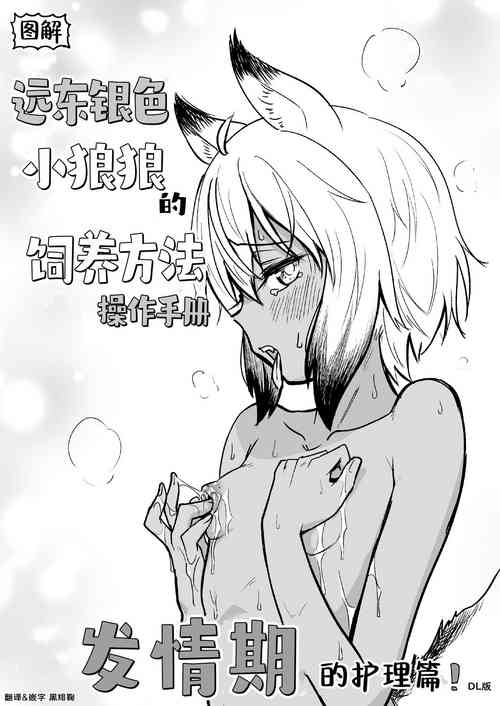 Download Zukai Kyokutou Giniro Jinrou-chan no Kaikata Handbook Hatsujouki no Osewa Hen | 图解 远东银色小狼狼的饲养方法 操作手册 发情期的护理篇