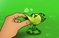 Page 6 of Plants vs. Zombies