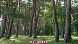 Page 87 of 異世界転生したら、アウラだっ