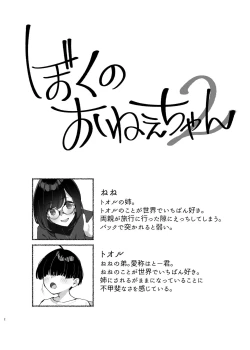 Page 3 of Boku no OneeMy dear Sister is Mine 2