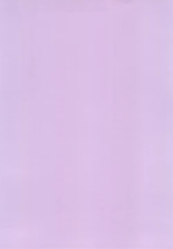 Page 30 of Iza Jinjou ni Shoubu!