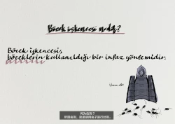 Page 3 of Mushikeinin no Oshigoto