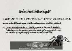 Page 4 of Mushikeinin no Oshigoto