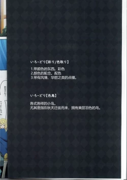 Page 4 of Colorful Connect 10th:Dive