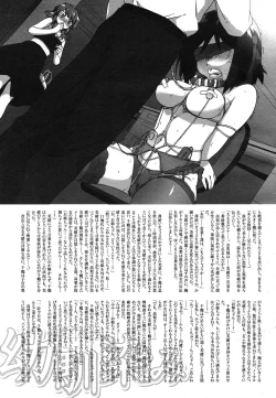 Page 311 of COMIC Mega GOLD 2007-07 Vol. 1