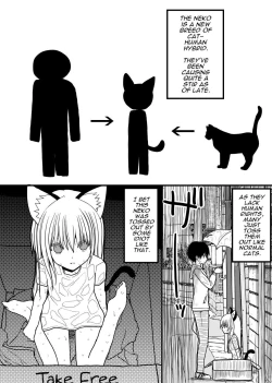 Page 2 of Hito neko no kaikata ～Hatsujohen～ | How To Raise A Humancat
