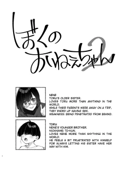 Page 3 of Boku no OneeMy dear Sister is Mine 2