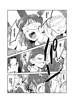 Page 6 of Precure5 Execution