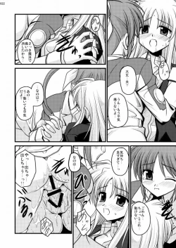 Page 19 of MERCHEN DIVER