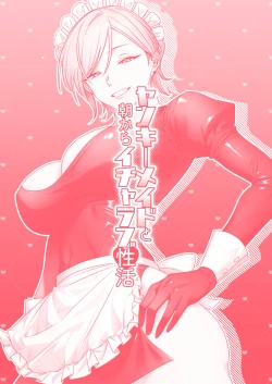 Page 28 of Yankee maid to asa kara icharabu-sei katsu