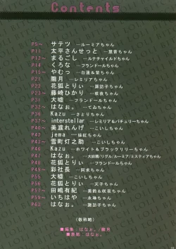 Page 4 of Touhou LoliBitch Goudou