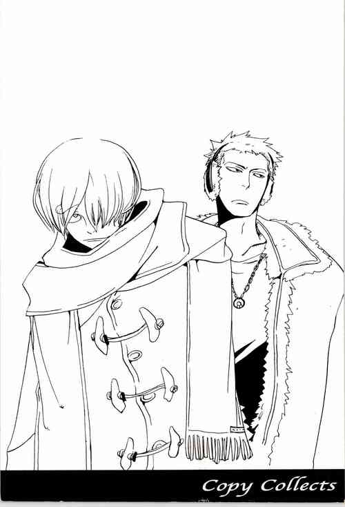 Download Copy Collects