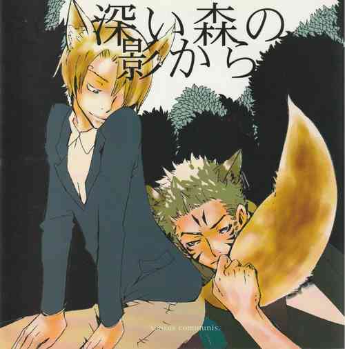 Download 深い森の影から