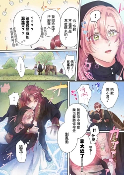 Page 11 of ai ga omoi kishi koushaku ha、tuihou reijou no subete wo ubai tukushitai。【HQ Full Color】 | 爱得太深沉的骑士公爵，想要夺得流放千金的一切。【HQ全彩版】01