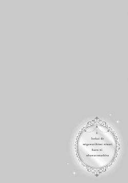 Page 206 of isekai de migawarihime ninari haou ni ubawaremashita ​| 在异世界成为了替身公主被霸王掳走了 1-12 end