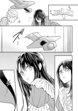 Page 25 of isekai de migawarihime ninari haou ni ubawaremashita ​| 在异世界成为了替身公主被霸王掳走了 1-12 end