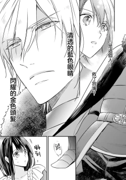 Page 28 of isekai de migawarihime ninari haou ni ubawaremashita ​| 在异世界成为了替身公主被霸王掳走了 1-12 end