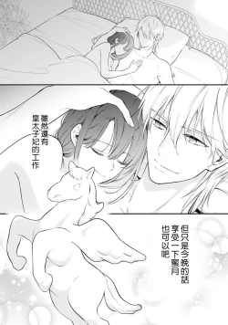 Page 390 of isekai de migawarihime ninari haou ni ubawaremashita ​| 在异世界成为了替身公主被霸王掳走了 1-12 end