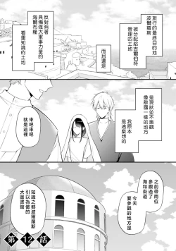 Page 393 of isekai de migawarihime ninari haou ni ubawaremashita ​| 在异世界成为了替身公主被霸王掳走了 1-12 end